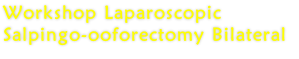 Workshop Laparoscopic Salpingo-ooforectomy Bilateral
